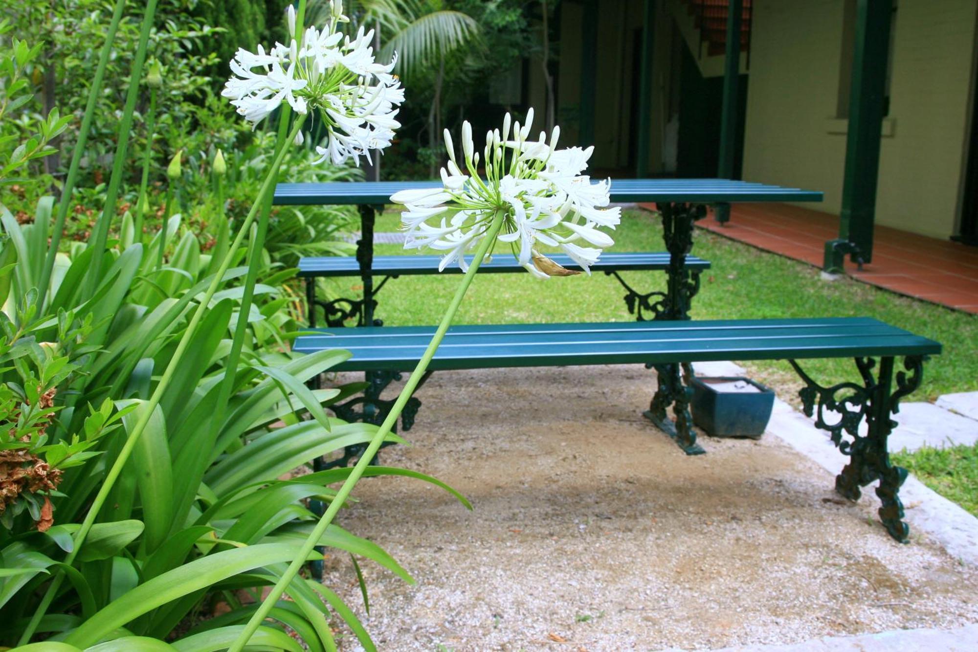 Avonmore On The Park Boutique Hotel Randwick Экстерьер фото