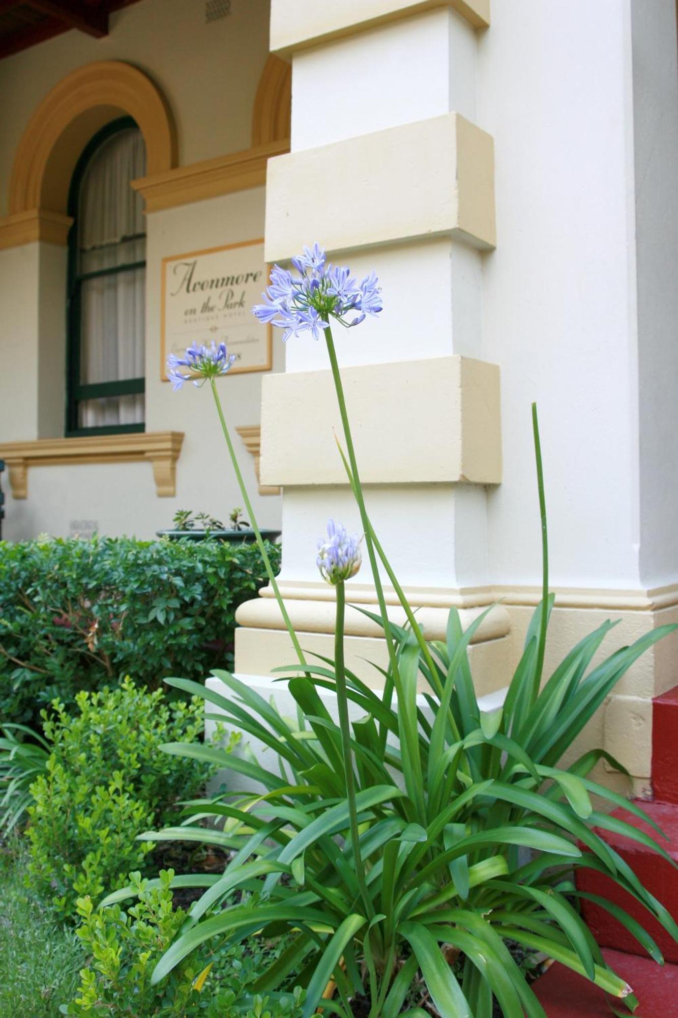 Avonmore On The Park Boutique Hotel Randwick Экстерьер фото